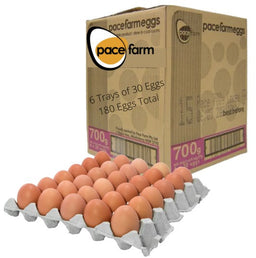 FEGG002