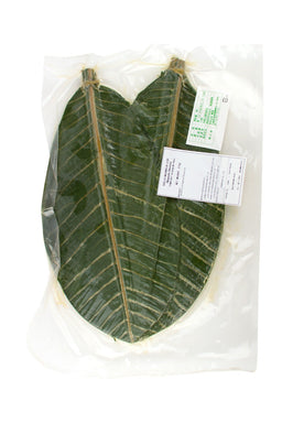 FVEG088