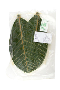 FVEG088